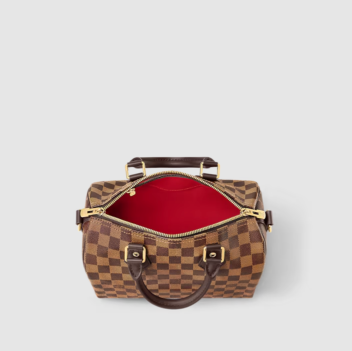 Speedy Bandoulière 25 Damier Ebene Canvas Originalfoto 3