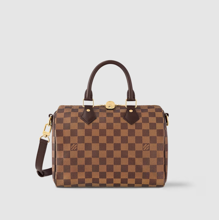 Speedy Bandoulière 25 Damier Ebene Canvas Originalfoto 1