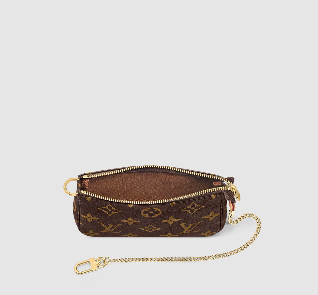 Mini pochette Accessoires in Canvas Monogram Originalfoto 3