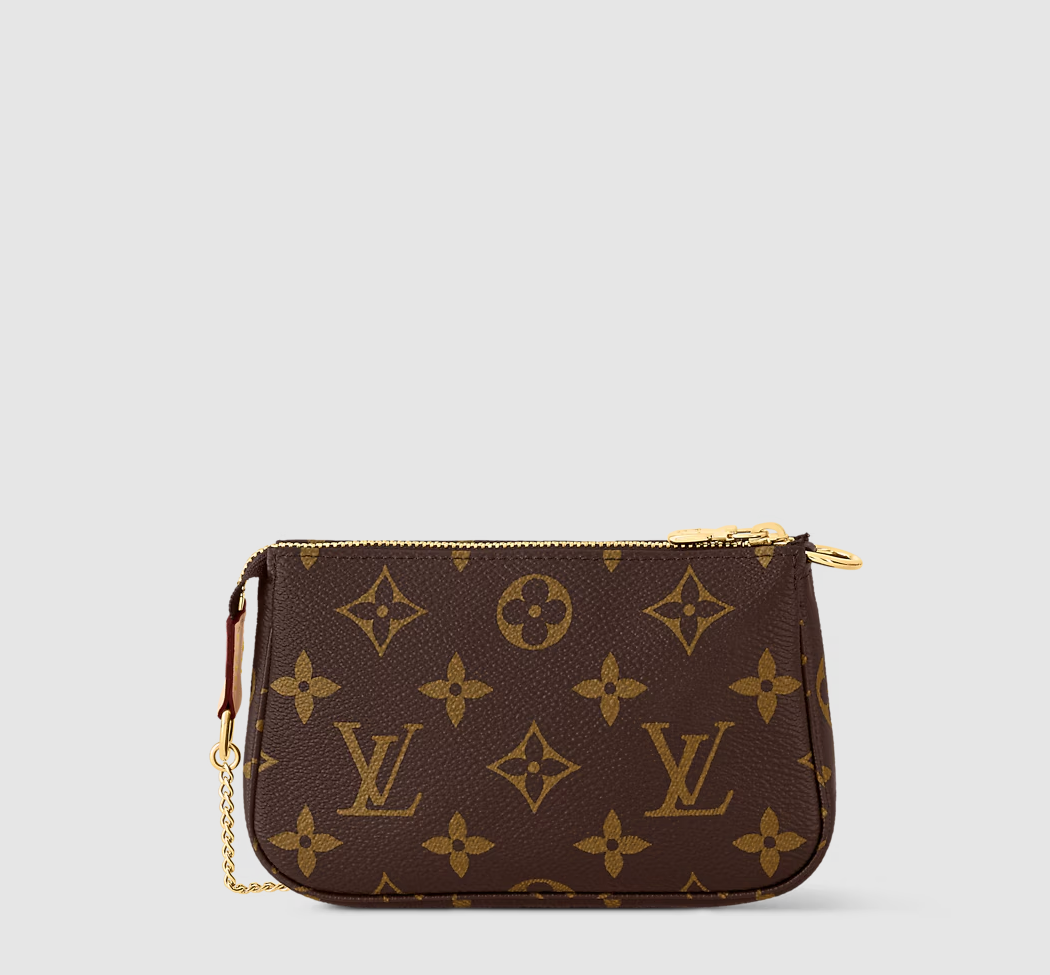 Mini pochette Accessoires in Canvas Monogram Originalfoto 4