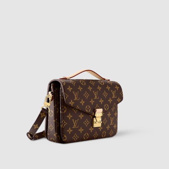 Pochette Metis Braun Originalfoto 2