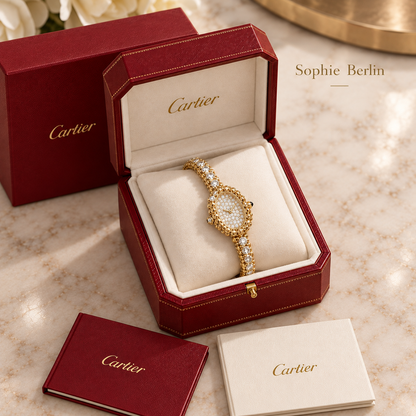 Goldfarben – Mit Steinbesatz: illustrative Einzeldarstellung der funkelnden Ausführung in roter Cartier-Box