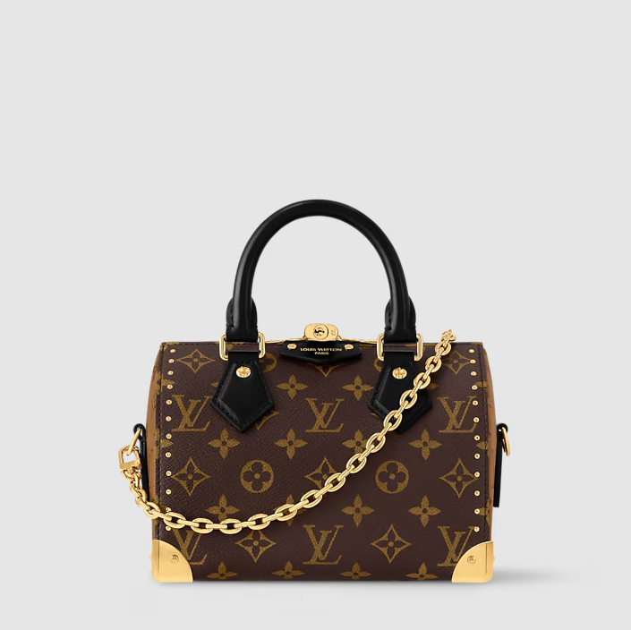 Speedy Trunk 20 Monogram Canvas – Originalfoto 1