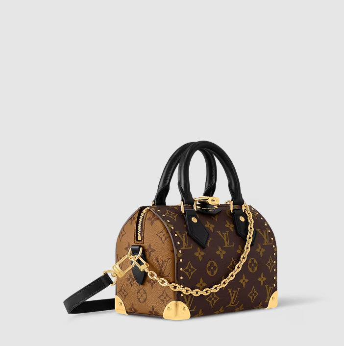 Speedy Trunk 20 Monogram Canvas – Originalfoto 2